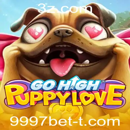 9997bet Casino App